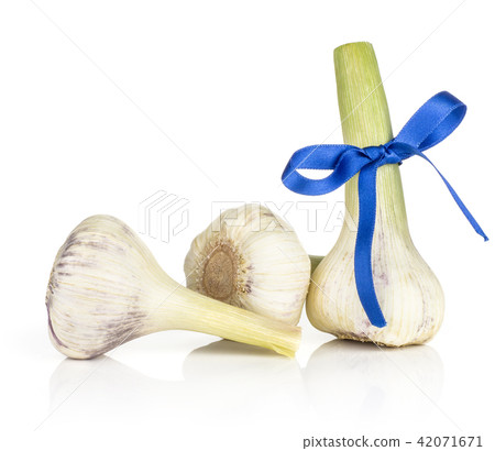 Fresh young garlic isolated on white Fresh young garlic isolated on white 42071671
