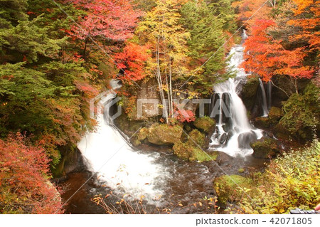 深秋天秋葉在五顏六色的秋葉在湖Chuzenji湖的Oku-Nikko冠瀑布 42071805