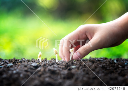 Environment nature. Little asian girl holding Environment nature. Little asian girl holding 42073246