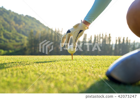 Hand golfer woman putting golf ball on tee Hand golfer woman putting golf ball on tee 42073247