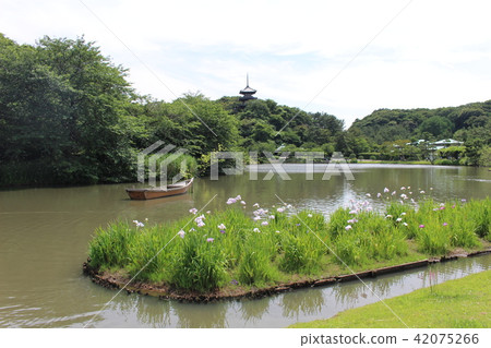 在初夏橫濱神奈川縣的產經園三重塔 在初夏橫濱神奈川縣的產經園三重塔 42075266