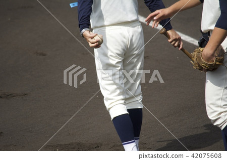 High School Baseball Director High School Baseball Director 42075608