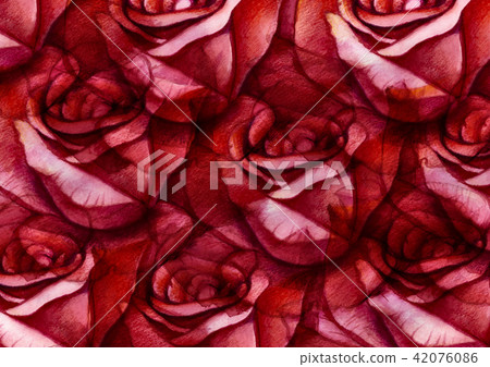 Big rose painting with love by watercolor style Big rose painting with love by watercolor style 42076086