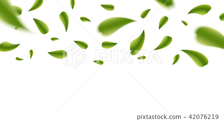 Creative vector illustration of realistic blurred fresh vividly flying green leaves isolated on Creative vector illustration of realistic blurred fresh vividly flying green leaves isolated on 42076219
