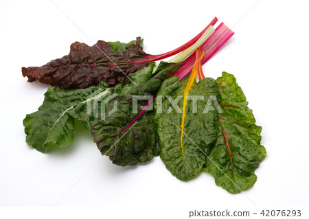 Swiss Chard Common grass 42076293