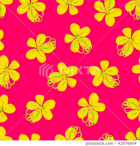 Cassia Fistula - Golden Shower on Pink Background 42076604