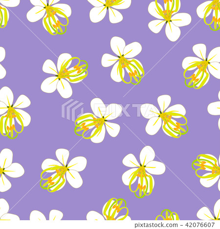 Cassia Fistula - Golden Shower Purple Background 42076607