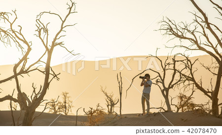 male photographer and trees in desert at sunset 42078470