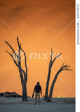 Male photographer standing in Deadvlei, Namibia 42078472