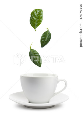 tea leaves tea leaves 42079350