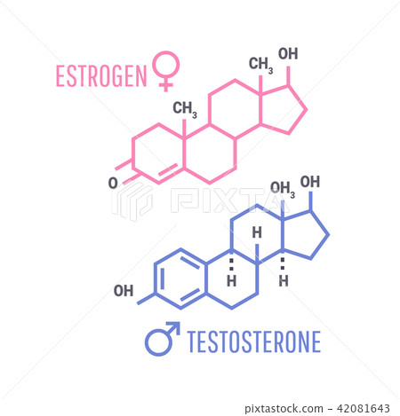 Estrogen and Testosterone Hormones symbol 42081643