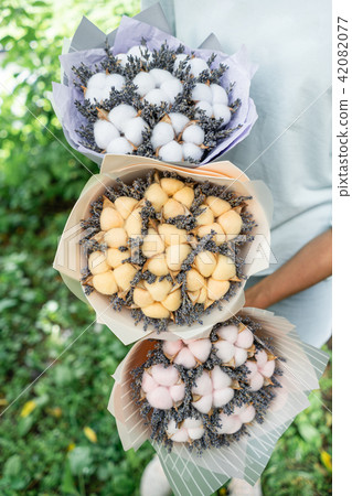 three beautiful and different bouquets lavender with cotton in woman hands . dried flowers lilac 42082077