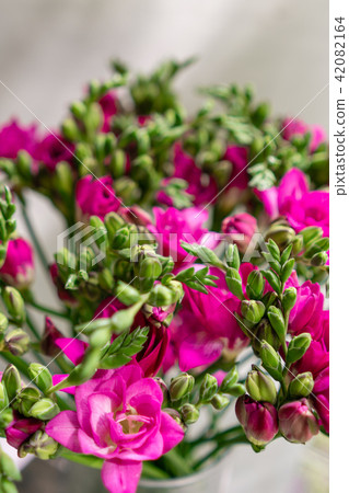 bright pink freesia flowers in glass vase on wooden table. Beautiful summer bouquet. Arrangement bright pink freesia flowers in glass vase on wooden table. Beautiful summer bouquet. Arrangement 42082164