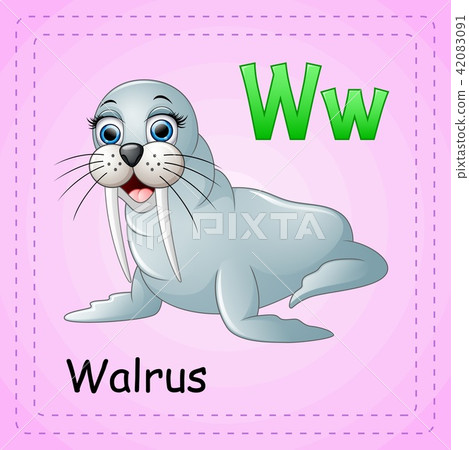 Animals alphabet: W is for Walrus 42083091