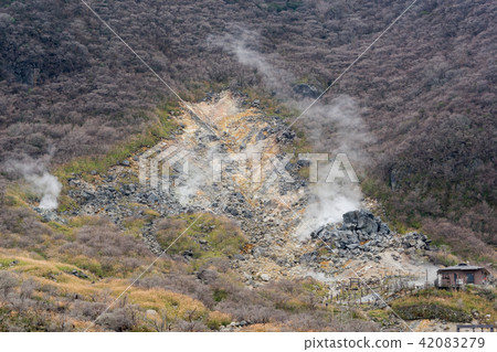 [Kanagawa Prefecture] Owakudani 42083279