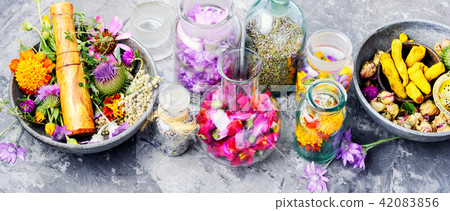 Alternative herbal medicine 42083856