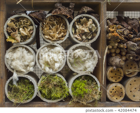 Wooden Insect house 42084474