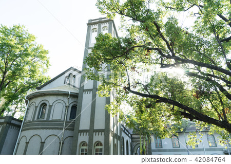 亞洲台灣台南神學院基督教堂走廊迴廊藍天白雲椰子樹耀光太陽日光 42084764