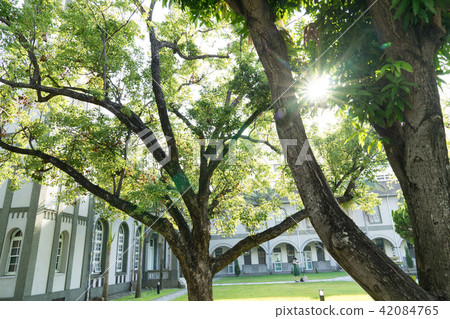 亞洲台灣台南神學院基督教堂走廊迴廊藍天白雲椰子樹耀光太陽日光 42084765