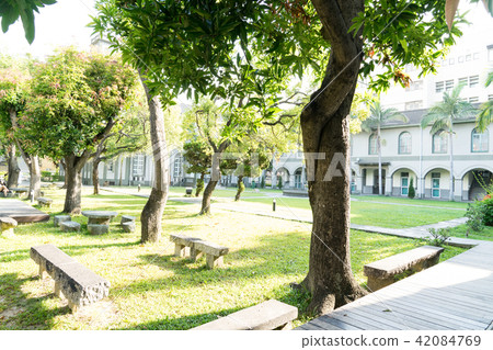 亞洲台灣台南神學院基督教堂走廊迴廊藍天白雲椰子樹耀光太陽日光 42084769