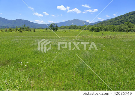 Viewing Mt. Foshan from Odase Shimoda era near Todami River in summer 42085749