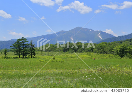 夏天從Todami河附近的Odase Shimoda時代觀看佛山 42085750