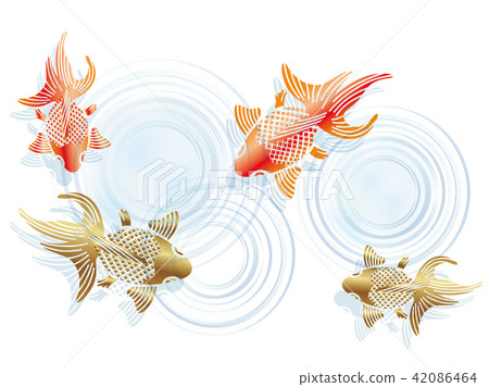 日本式金魚的例證例證 日本式金魚的例證例證 42086464