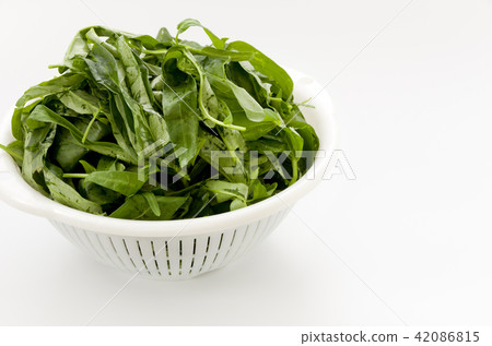 Leaves of a spira Leaves of a spira 42086815