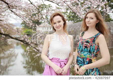 享受櫻花觀察的兩名年輕外國婦女在日本 42087097
