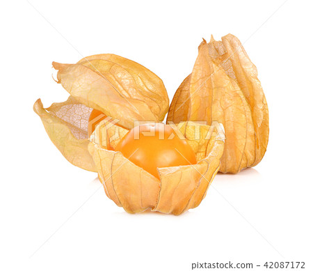 Cape gooseberry, physalis isolated Cape gooseberry, physalis isolated 42087172
