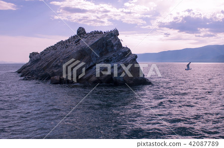 Tilted rock with birds. Tilted rock with birds. 42087789