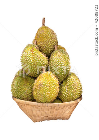 King Of Fruits, Durian Fruit Golden Yellow 42088723