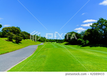 Japanese golf course 42089433