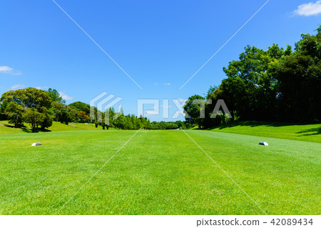 Japanese golf course 42089434