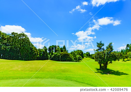 Japanese golf course 42089476
