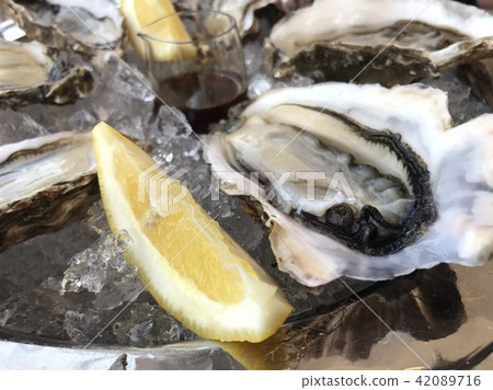 Raw oysters of Akkeshi Raw oysters of Akkeshi 42089716