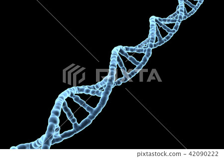 DNA, gene DNA, gene 42090222