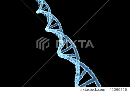 DNA，基因 42090226