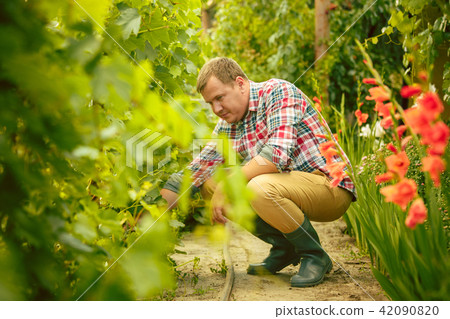 Mant prune grape brunch, work on a family farm 42090820