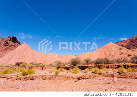 Bolivian canyon near Tupiza,Bolivia 42091313