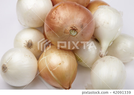 Onion Onion 42091339