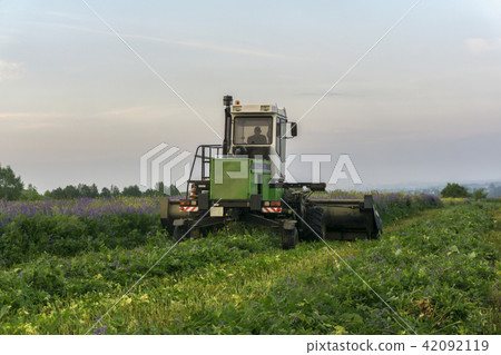mechanical harvesting of livestock feed mechanical harvesting of livestock feed 42092119