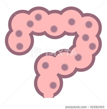 腸道環境 42092403