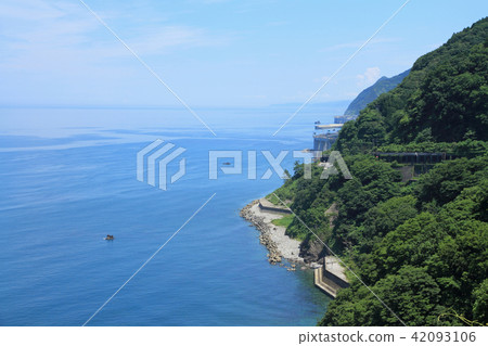 Parent unknown coast 42093106