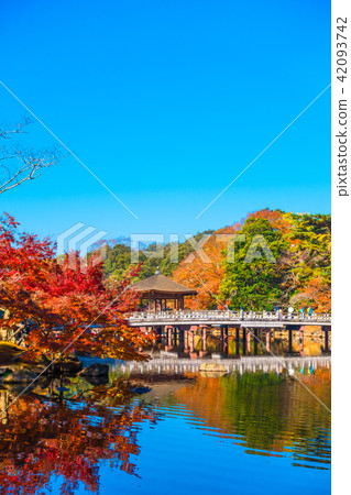 秋葉小屋 42093742