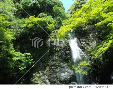 Water and green 42093818