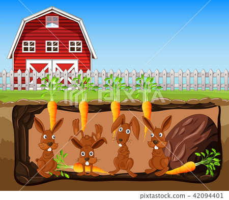 underground rabbit house