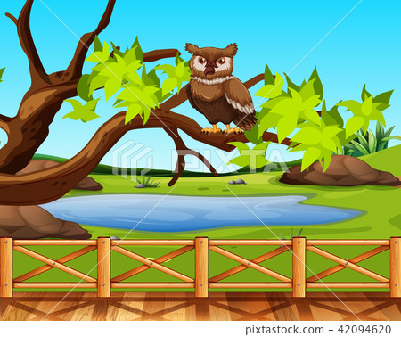 An owl sitting in a tree scene 42094620