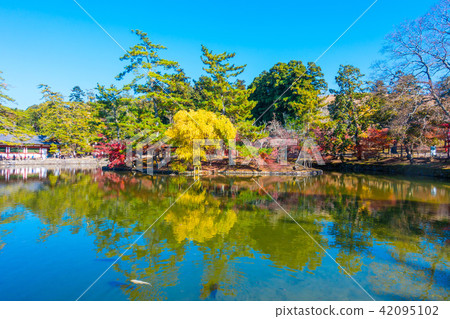 Todaiji鏡子寺廟的秋葉 Todaiji鏡子寺廟的秋葉 42095102