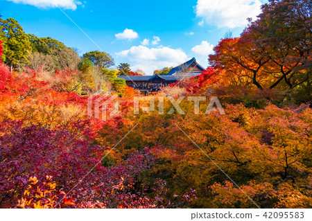 Tofukuji Tonchibashi秋葉 Tofukuji Tonchibashi秋葉 42095583